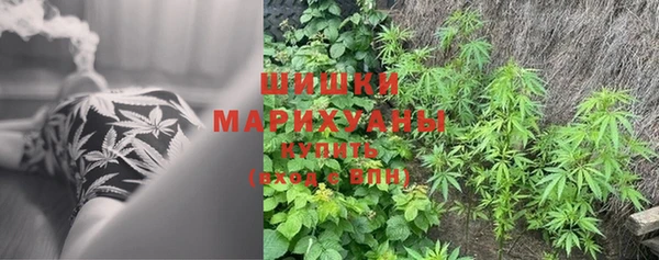 ALPHA-PVP Аркадак