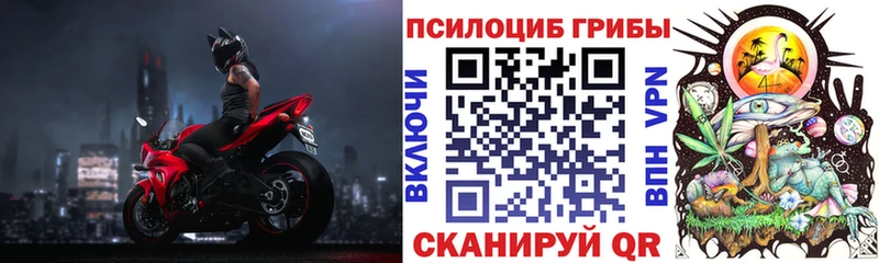 МЕГА ТОР  Темников  Псилоцибиновые грибы Psilocybine cubensis 