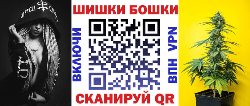 наркотики  Темников  Бошки марихуана индика 